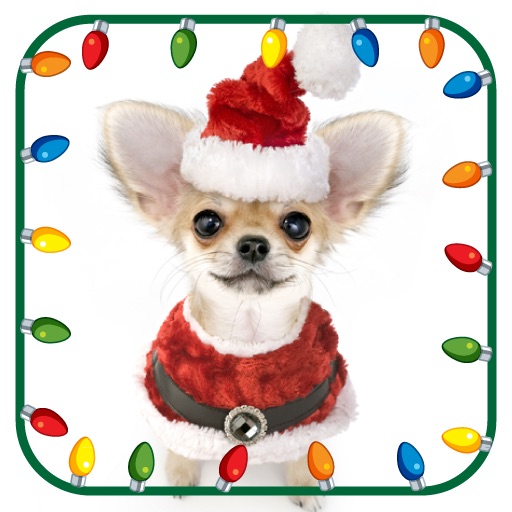 Christmas Animal Photo Booth