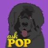 Ask POP: FREE Version