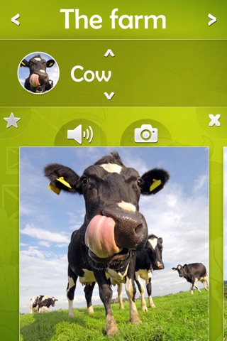 Animal sounds  : Moo box screenshot 2