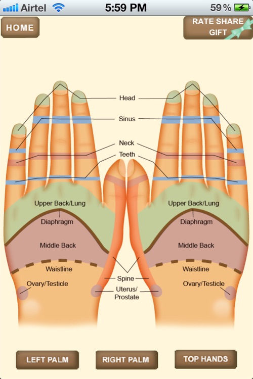iPocket Hand Reflexology screenshot-3