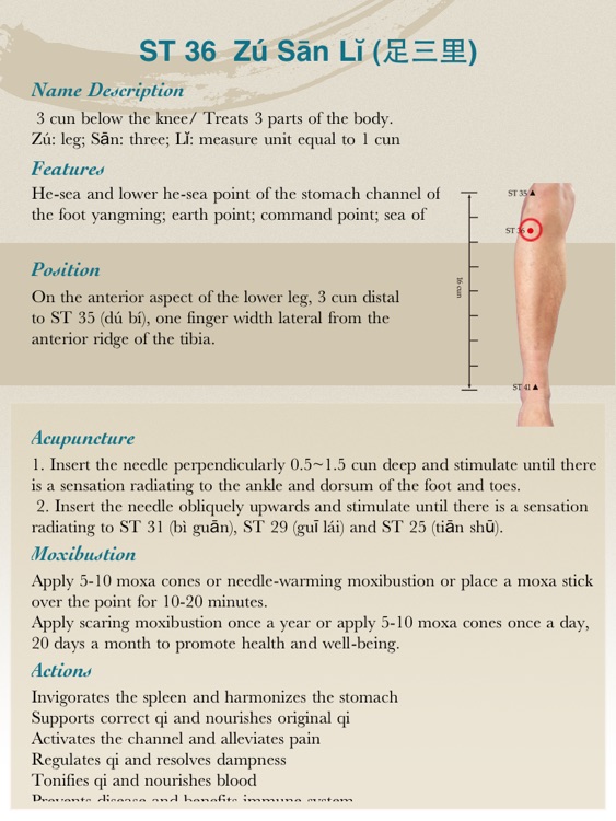 Anatomical Illustration of Acupuncture Points Lite