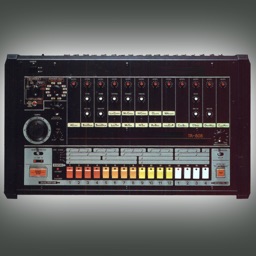 808 Drum