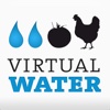 Virtual Water