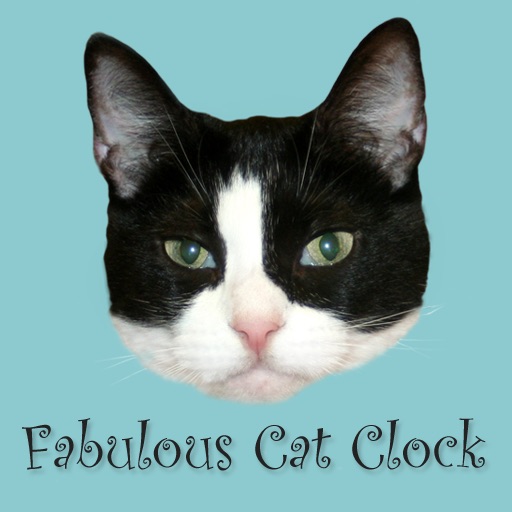 Fabulous Cat Clock