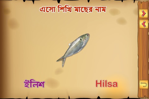 Bengali Fish screenshot 3