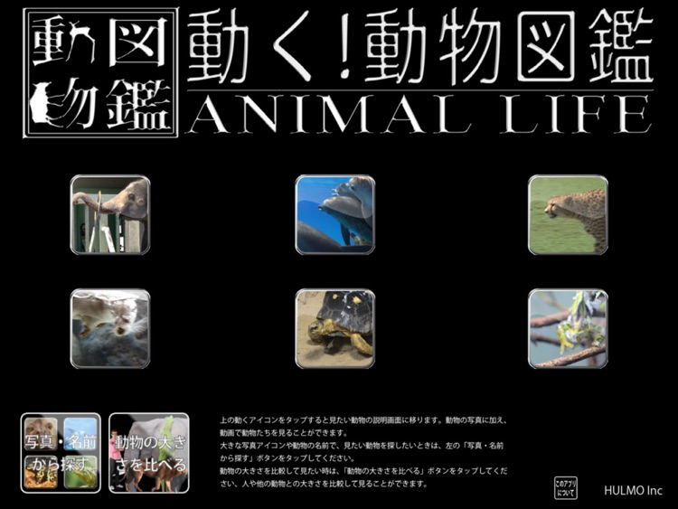 Animal Life Free for Japan