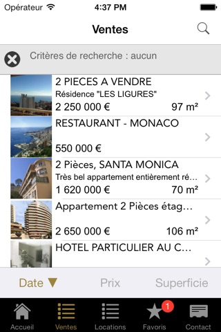 Dameno Immobilier Monaco screenshot 2