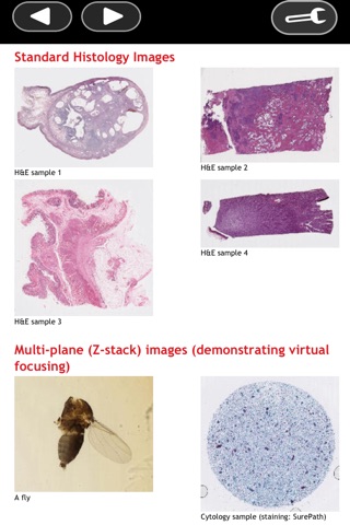 Interpath screenshot 2