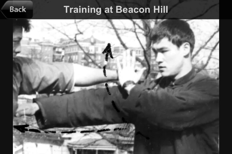 Bruce Lee JKD