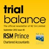 RSM Prince Trial Balance issue 40