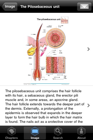 Miniatlas Anatomy screenshot 2