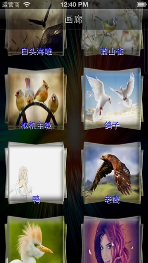 所有的鳥類壁紙(圖1)-速報App