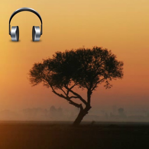 Nature Sounds(sleep and relax) icon