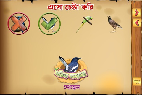 Bengali Birds screenshot 4