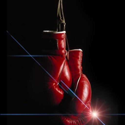 Boxing Drills - The app that helps you punch the heavy bag icon