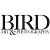 Bird Art & Photography