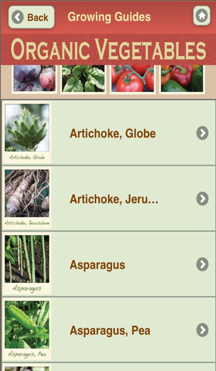 Grow Your Own Organic Vegetables with Garden Organic