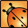 Beetle Lines icon