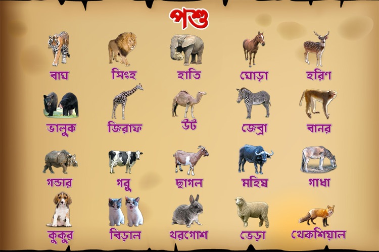 Bengali Animals