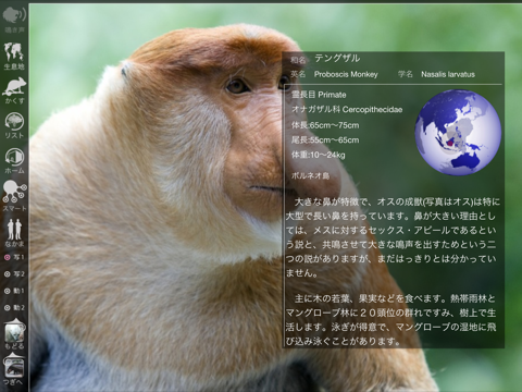 動く！動物図鑑：Animal Life for Japanのおすすめ画像3