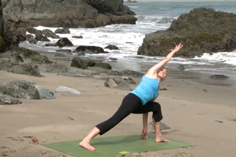 Yoga Basics with Tara Dale screenshot 3