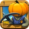 Shoot the Birds icon