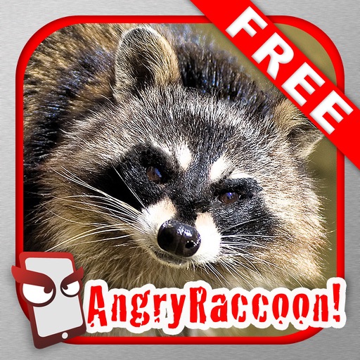 AngryRaccoon Free - The Angry Raccoon Simulator iOS App