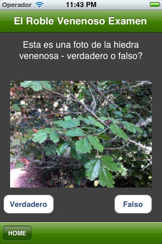 Poison Oak Quiz screenshot 4