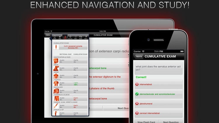 Anatomy In Motion - Shoulder Muscles Flashcards screenshot-3