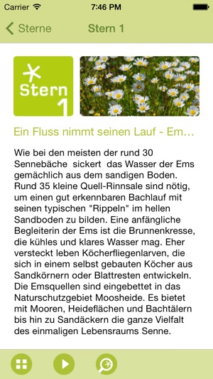 Grüner Stern für den EmsRadweg(圖3)-速報App