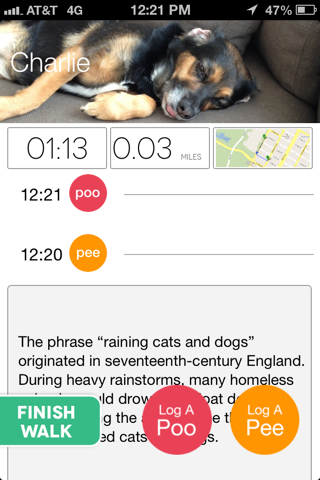 Paw Tracks - dog walking pet tracker for groups and friends screenshot 2