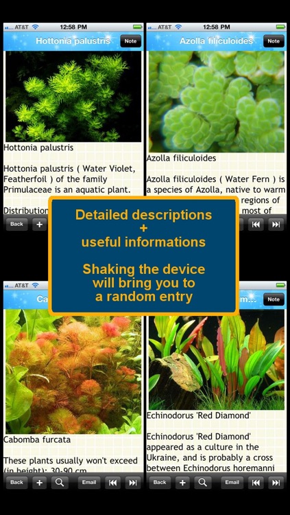 Aquarium Plants Encyclopedia