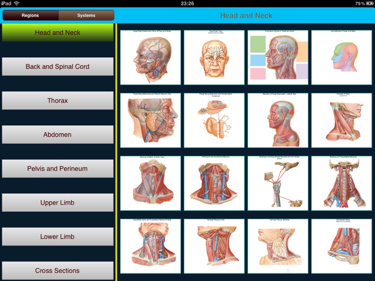 Atlas of Anatomy for iPad