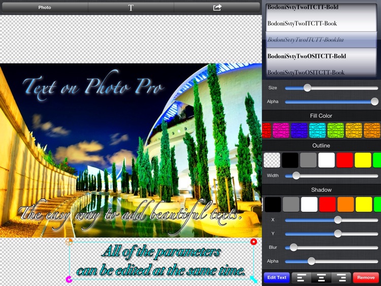 Text on Photo Pro for iPad screenshot-4