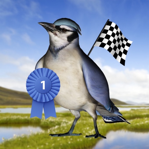Bird Race icon