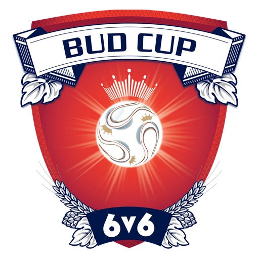Budweiser Cup 6v6