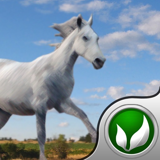 Sky Horse - Jumper game for people who love horses iOS App