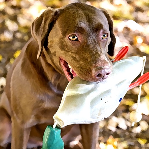 Dog Duck Hunt - Labrador Retriever Deluxe Free Hunting Game icon