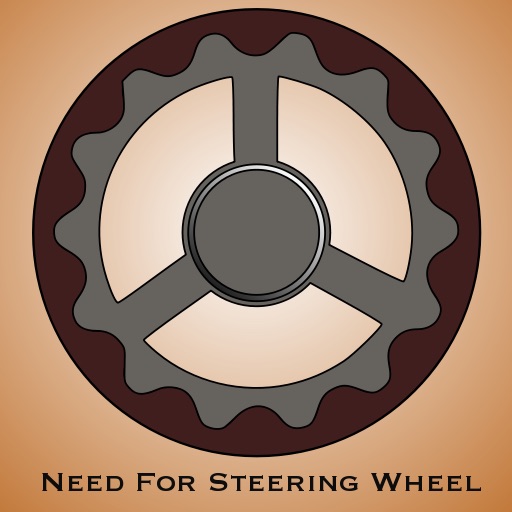 NFSW - Need for Steering Wheel?