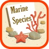 Marine Species of World