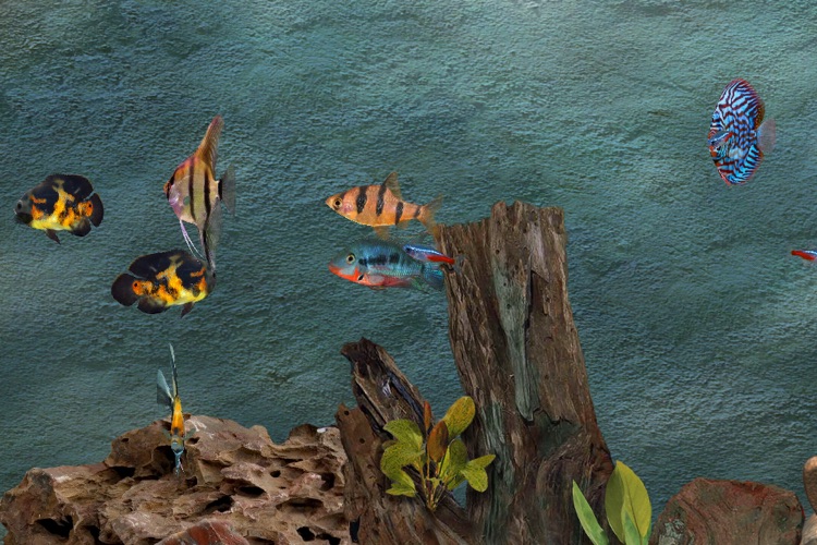 Tropical Aquarium screenshot-3