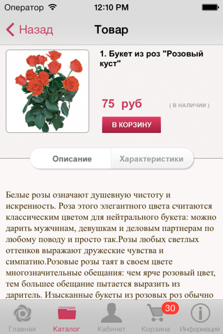 Скриншот из Интернет-магазин King-Flower.com