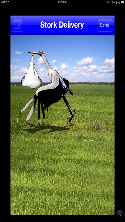 Stork Delivery