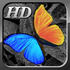 PhotoWizard-HD Photo Editor