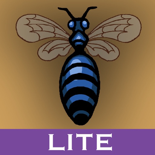 The BeeHive Lite