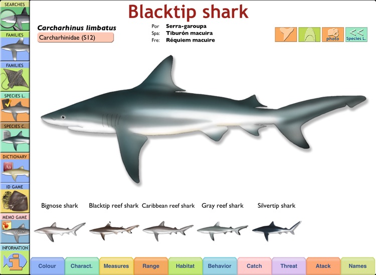 Sharks & Rays - Identification Guide for iPad