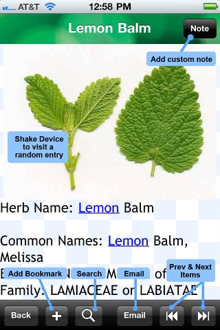 Medicinal Herbs Encyc... screenshot1