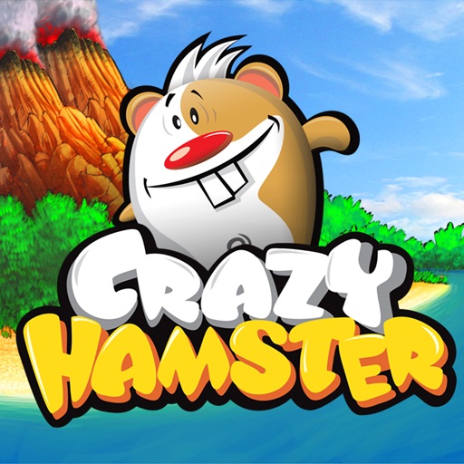 Crazy Hamster