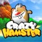 OVER 3 MILLION PEOPLE PLAY CRAZY HAMSTER