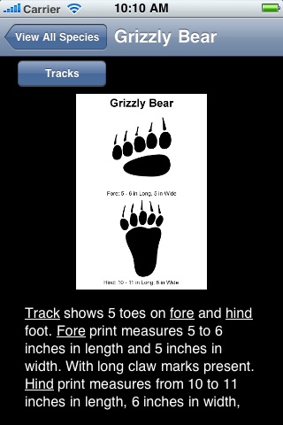 Mammal Tracks screenshot 4